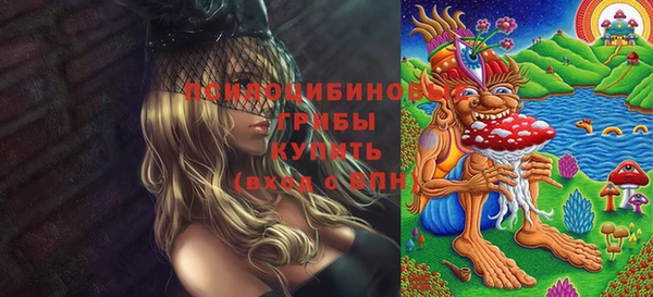 кокс Алзамай