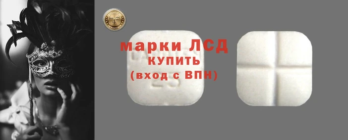 стаф Алексин