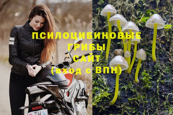 стаф Алексин