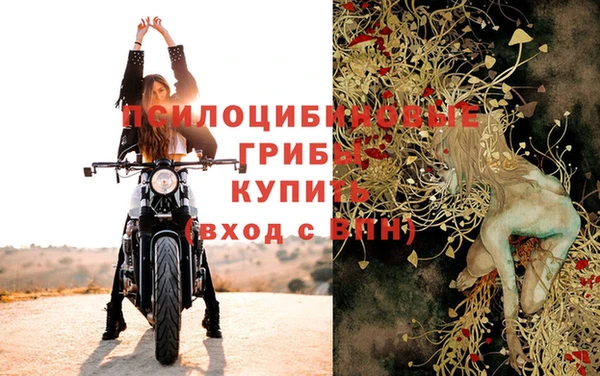 стаф Алексин