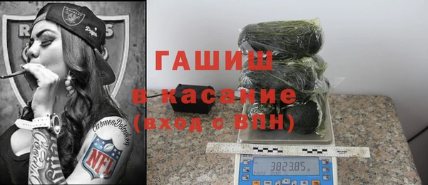 стаф Алексин