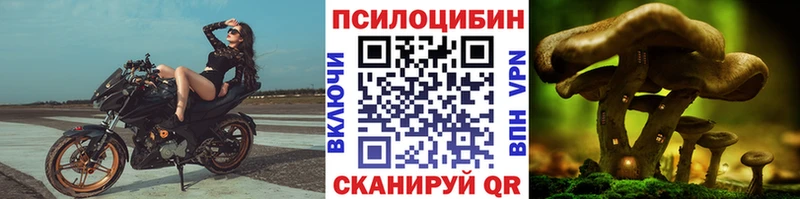 mega   Калининск  Псилоцибиновые грибы Psilocybe  цены наркотик 